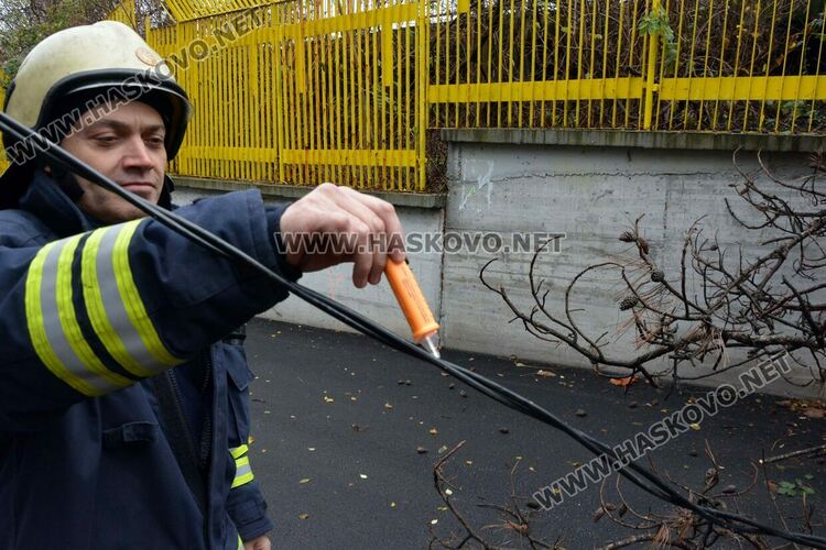 Огромен бор падна върху оградата на хасковския стадион