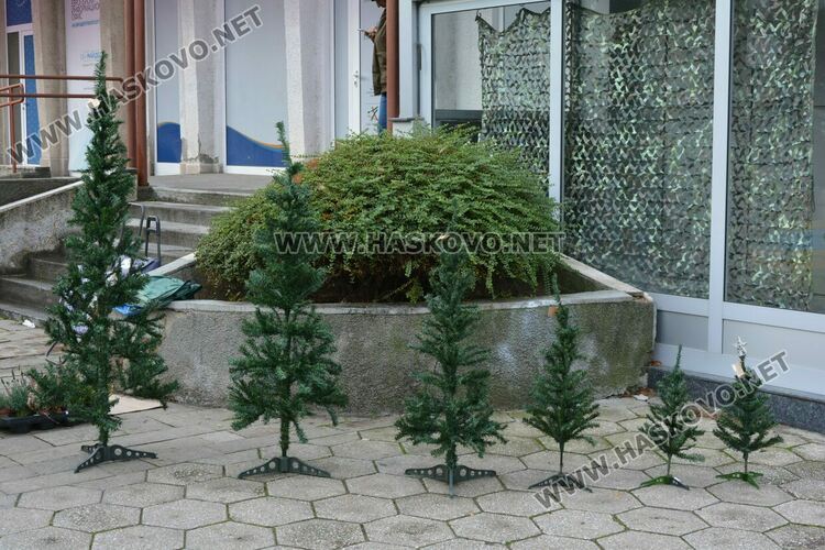 Първите живи елхи вече са на пазара в Хасково