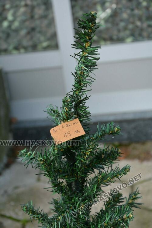 Първите живи елхи вече са на пазара в Хасково