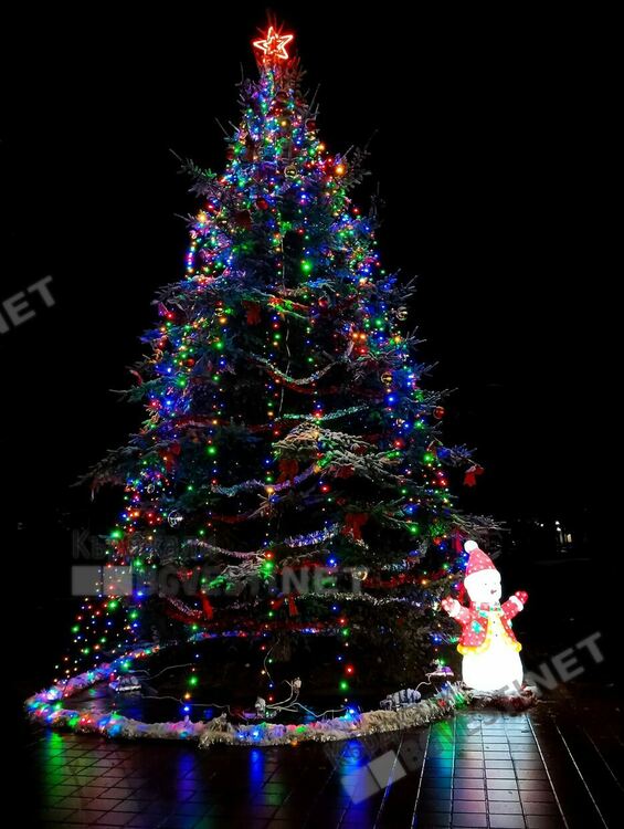 Грейнаха светлините на коледно-новогодишната елха в Ардино