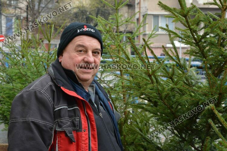 Първите живи елхи вече са на пазара в Хасково