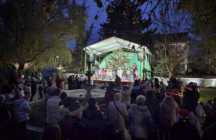 В димитровградското село Добрич запалиха светлините на елхата