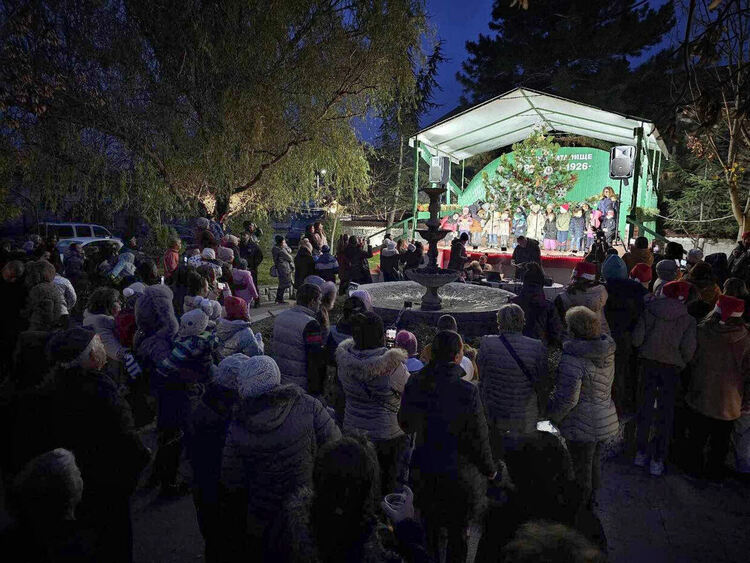 В димитровградското село Добрич запалиха светлините на елхата