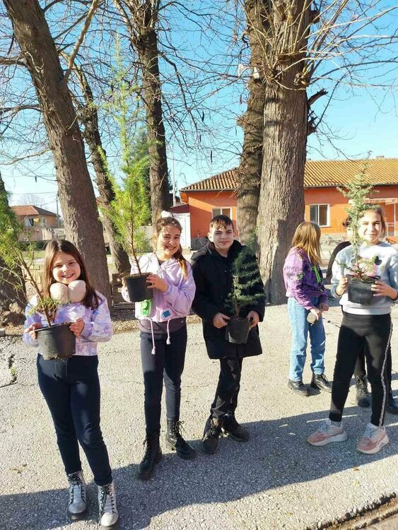 Дебърските ученици засадиха дръвчета