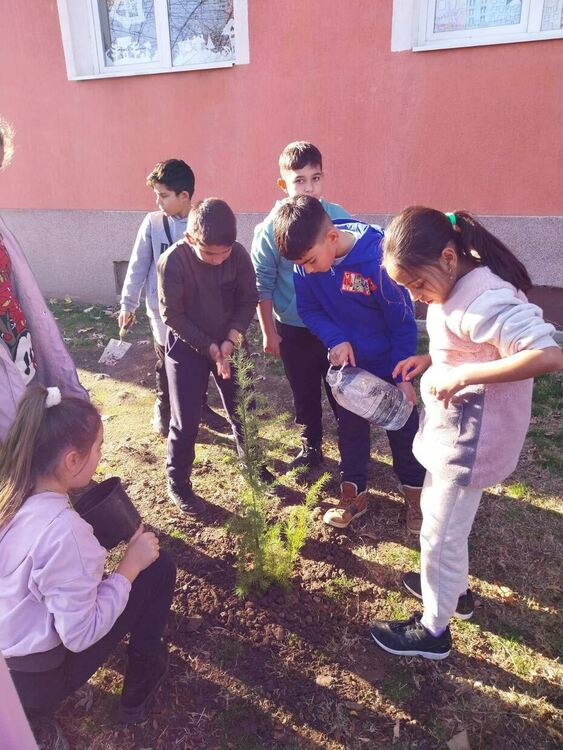Дебърските ученици засадиха дръвчета
