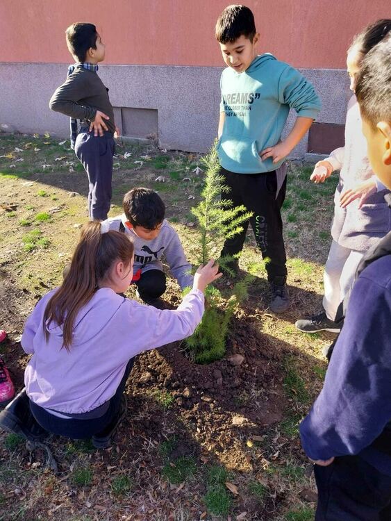 Дебърските ученици засадиха дръвчета