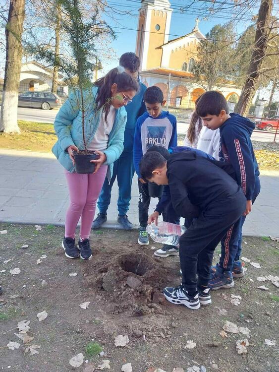 Дебърските ученици засадиха дръвчета
