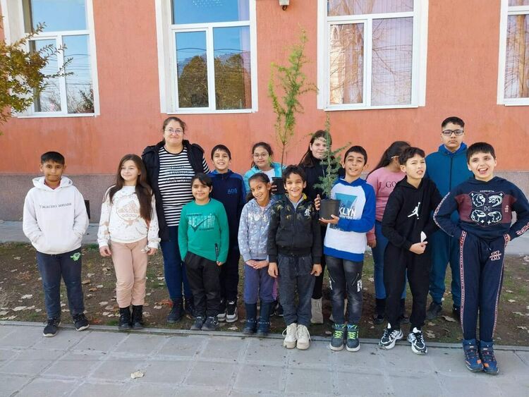 Дебърските ученици засадиха дръвчета