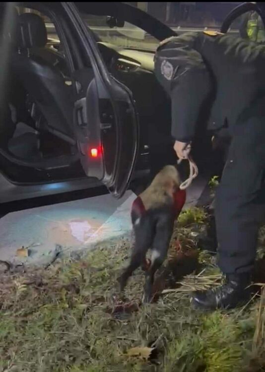 Арести в региона при полицейска акция