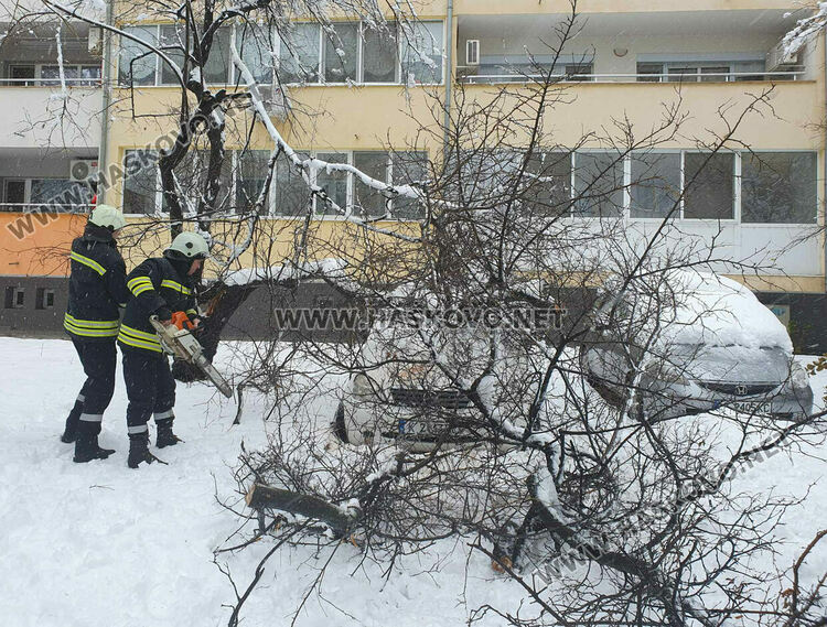 Мокрият сняг в Хасково започна да нанася поражения