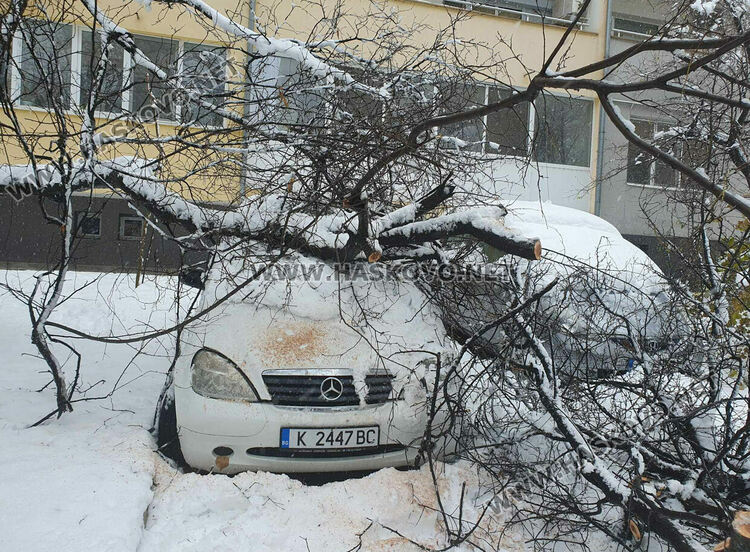 Мокрият сняг в Хасково започна да нанася поражения