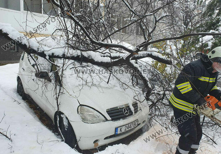Мокрият сняг в Хасково започна да нанася поражения