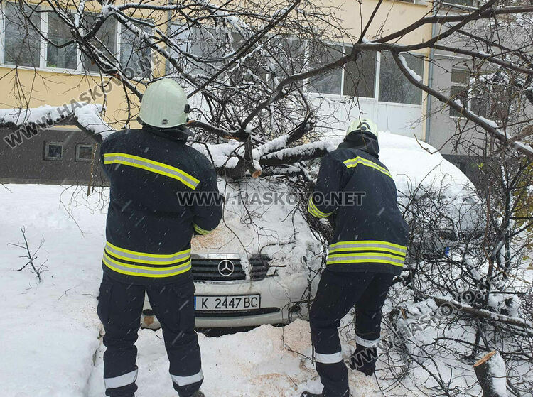 Мокрият сняг в Хасково започна да нанася поражения