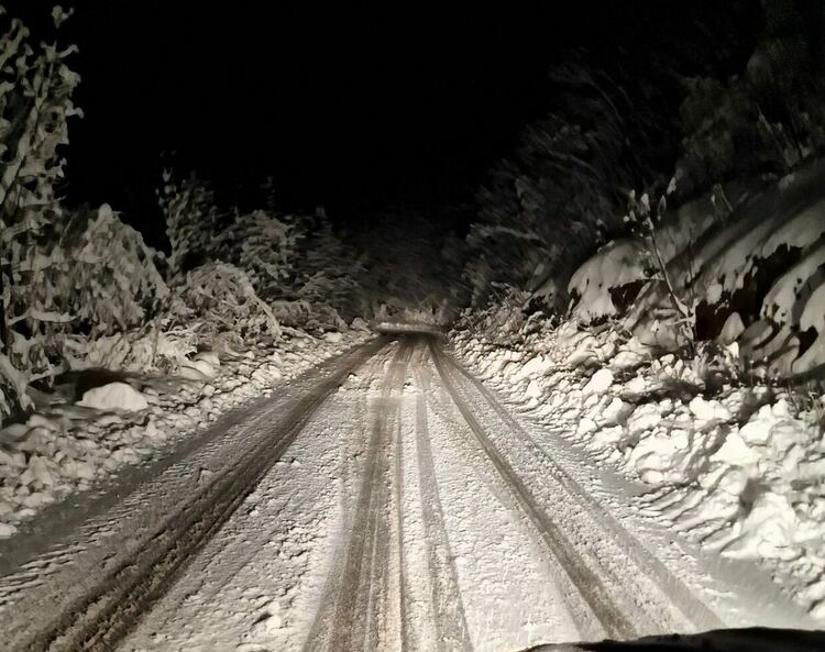 Около 50 см сняг по високите планински места в Асеновградско