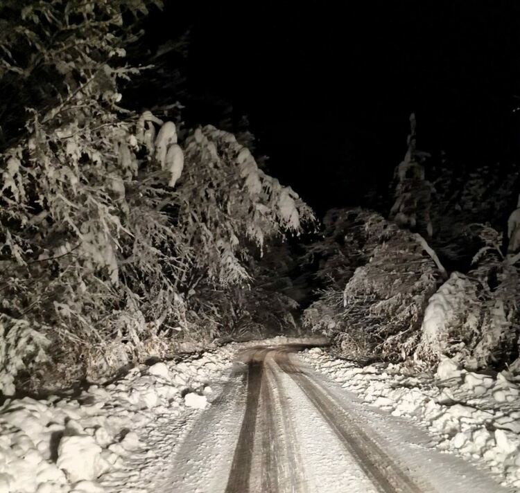 Около 50 см сняг по високите планински места в Асеновградско