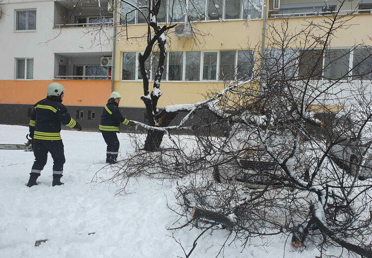 Мокрият сняг в Хасково започна да нанася поражения