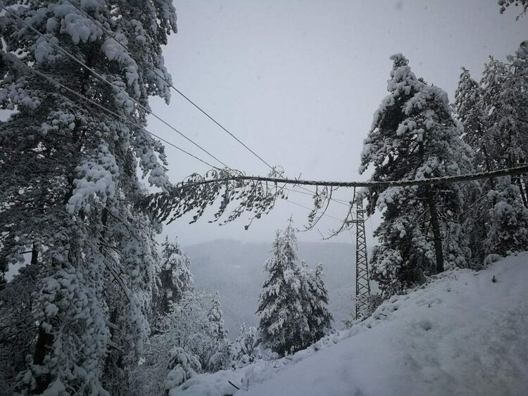 Населени места в Смолянска област все още са без ток