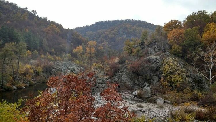 снимката е илюстративна