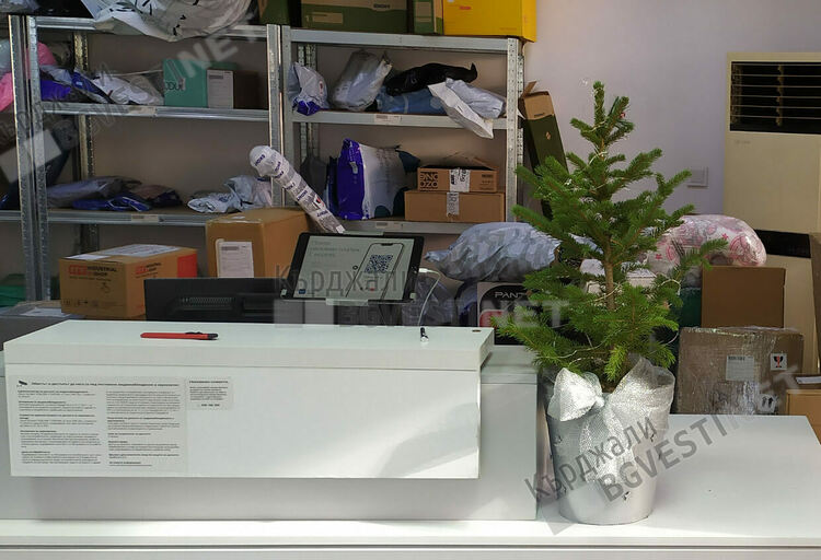 Дядо Коледа изненада кържалийци с живи коледни дръвчета по куриерските фирми