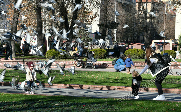 Втори ден с температурен рекорд в Хасково