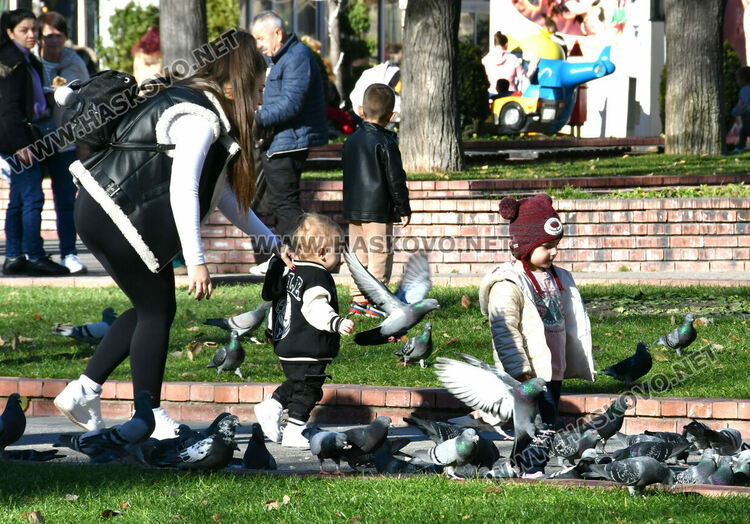 Втори ден с температурен рекорд в Хасково