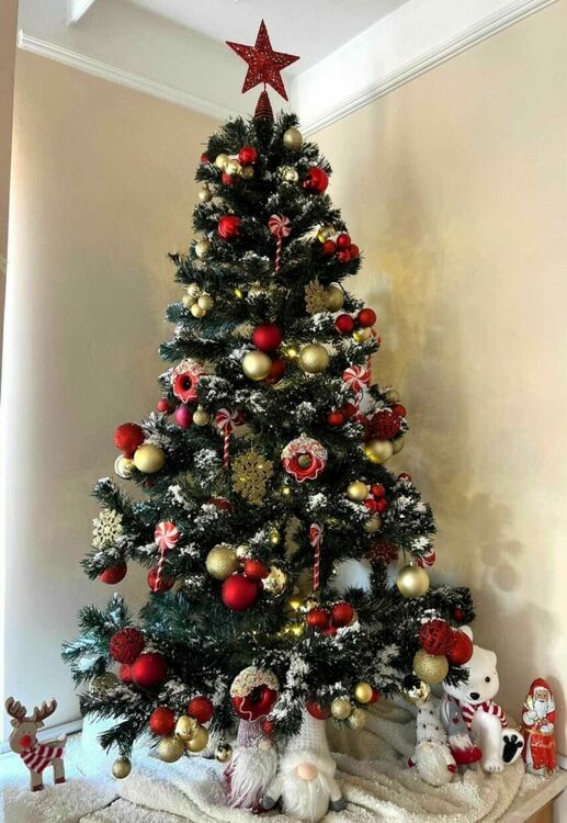 Анелия Палазова е победителят в коледния конкурс на асеновградската община