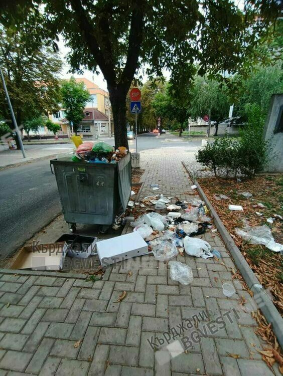 Колонката на редактора:Безродници поругават паметниците ни!