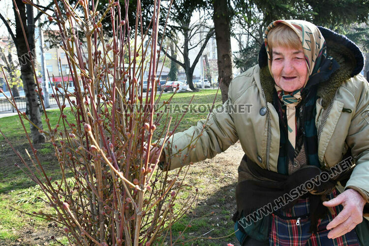 Бивша авиаторка продава ръчно изработени сурвачки в Хасково