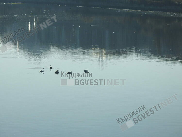 Отнеха радостта на малките кърджалийчета, повредиха далекогледа на Чапловата колония на Арда