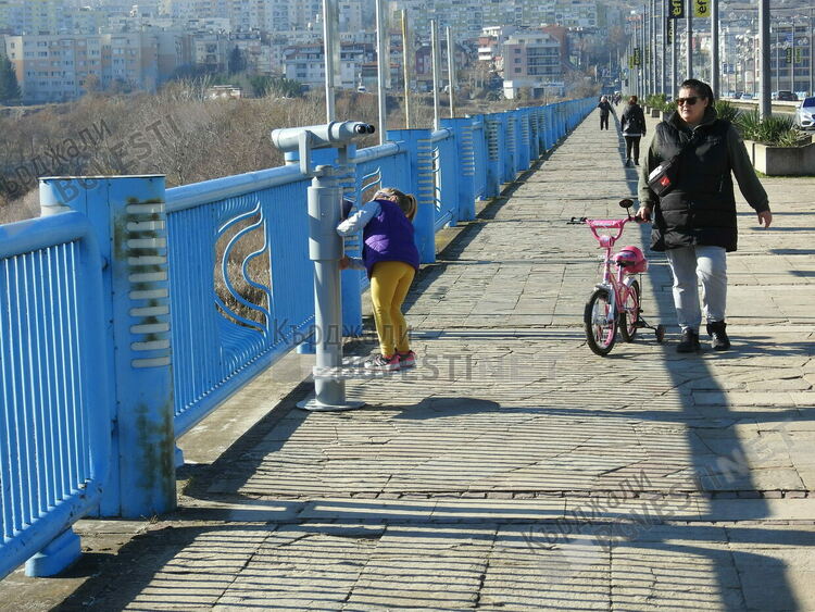 Отнеха радостта на малките кърджалийчета, повредиха далекогледа на Чапловата колония на Арда