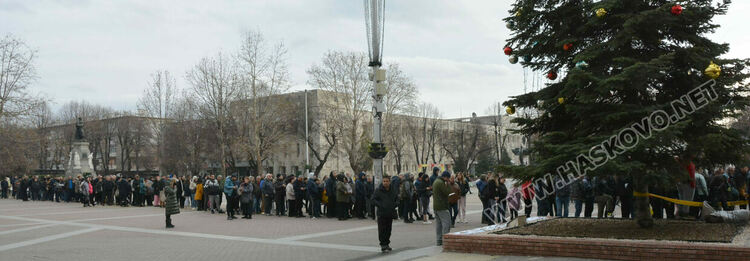 Хасковлии извиха опашка за безплатните дръвчета, поставиха дарителска кутия за Рени