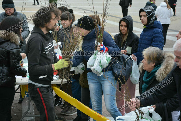 Хасковлии извиха опашка за безплатните дръвчета, поставиха дарителска кутия за Рени