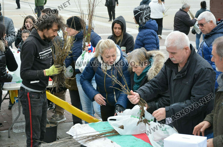 Хасковлии извиха опашка за безплатните дръвчета, поставиха дарителска кутия за Рени