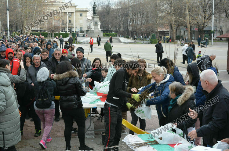Хасковлии извиха опашка за безплатните дръвчета, поставиха дарителска кутия за Рени