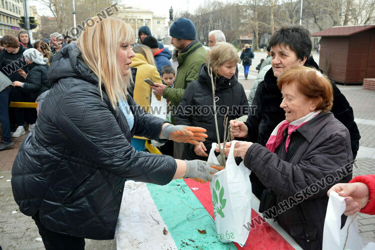 Хасковлии извиха опашка за безплатните дръвчета, поставиха дарителска кутия за Рени