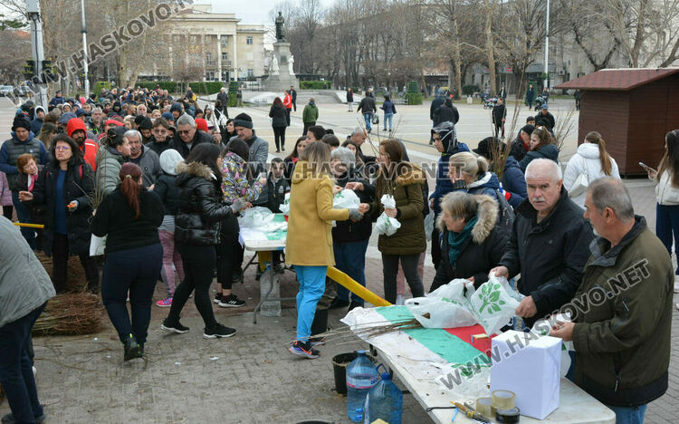 Хасковлии извиха опашка за безплатните дръвчета, поставиха дарителска кутия за Рени
