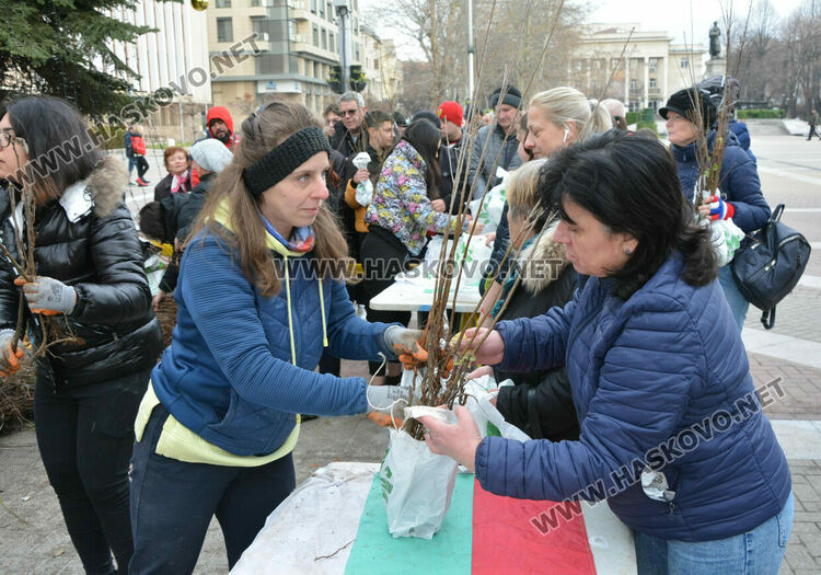 Хасковлии извиха опашка за безплатните дръвчета, поставиха дарителска кутия за Рени