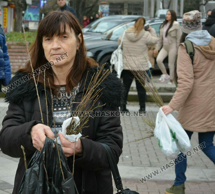 Хасковлии извиха опашка за безплатните дръвчета, поставиха дарителска кутия за Рени