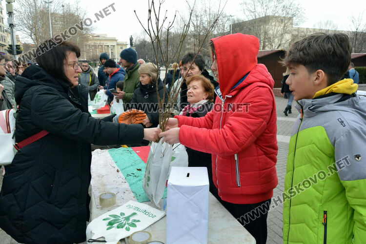 Хасковлии извиха опашка за безплатните дръвчета, поставиха дарителска кутия за Рени