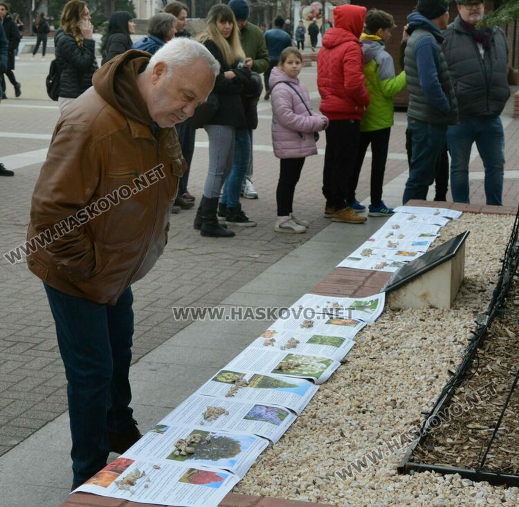 Хасковлии извиха опашка за безплатните дръвчета, поставиха дарителска кутия за Рени