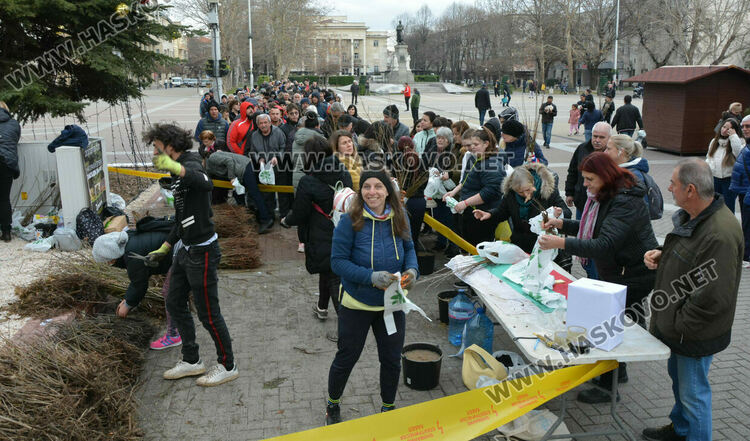 Хасковлии извиха опашка за безплатните дръвчета, поставиха дарителска кутия за Рени