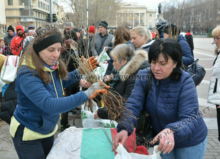 Хасковлии извиха опашка за безплатните дръвчета, поставиха дарителска кутия за Рени