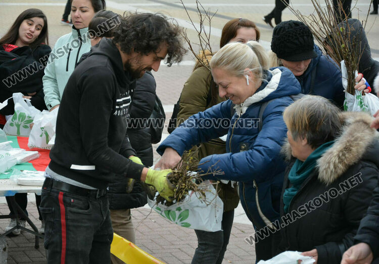 Хасковлии извиха опашка за безплатните дръвчета, поставиха дарителска кутия за Рени