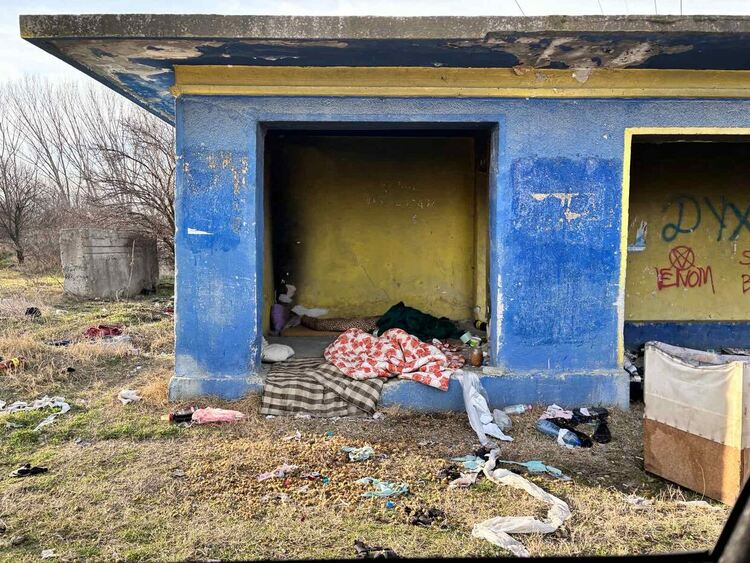 Възрастна жена мръзне в студа по улиците, но отказва приют. Сезираха прокуратурата