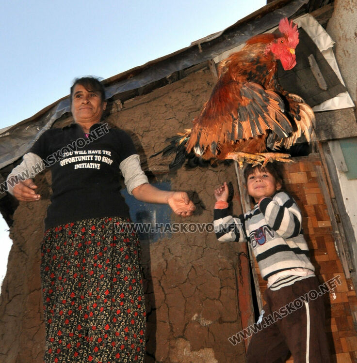 Ромите се подготвят да посрещнат Банго Васил 