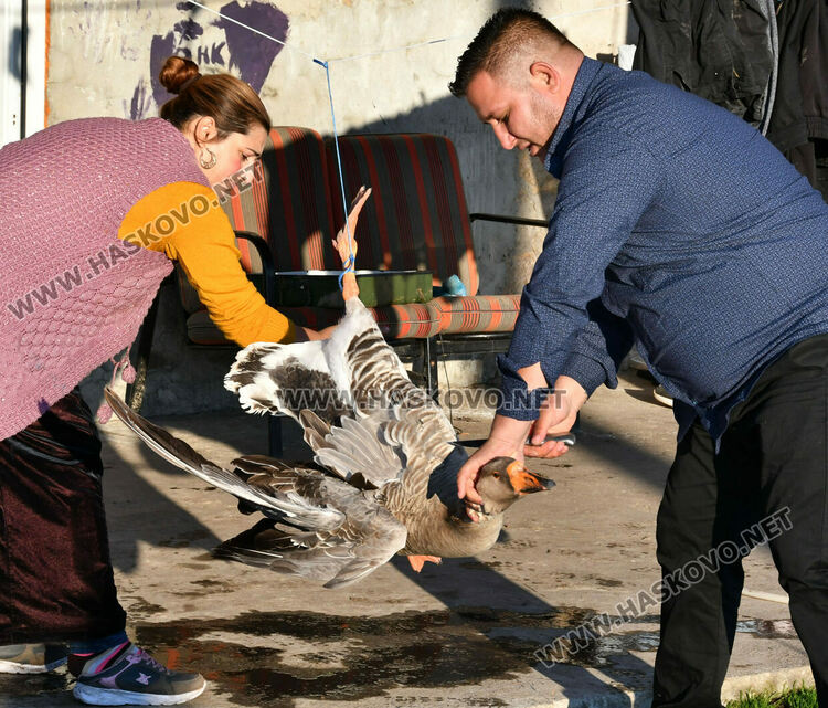 Ромите се подготвят да посрещнат Банго Васил 