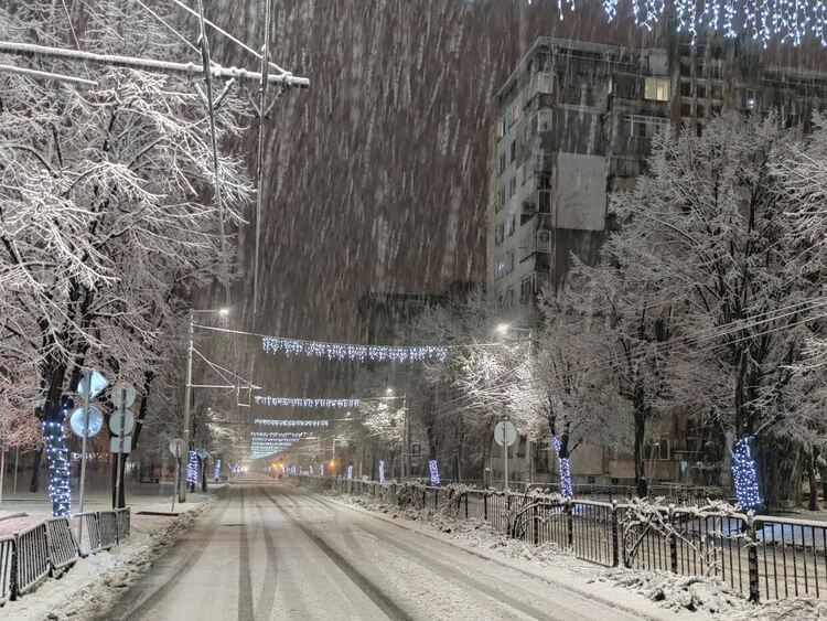 Ралица Димитрова и Християн Ночев са победители във фотоконкурса „Хасково - светла коледна приказка“