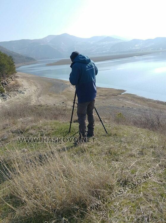 Повече птици от повече видове регистрираха орнитолозите в източните Родопи