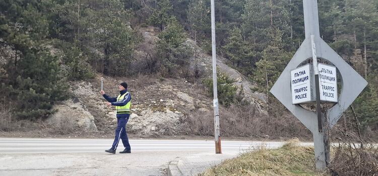 При специализирана полицейска операция провериха 66 автомобила и 81 граждани