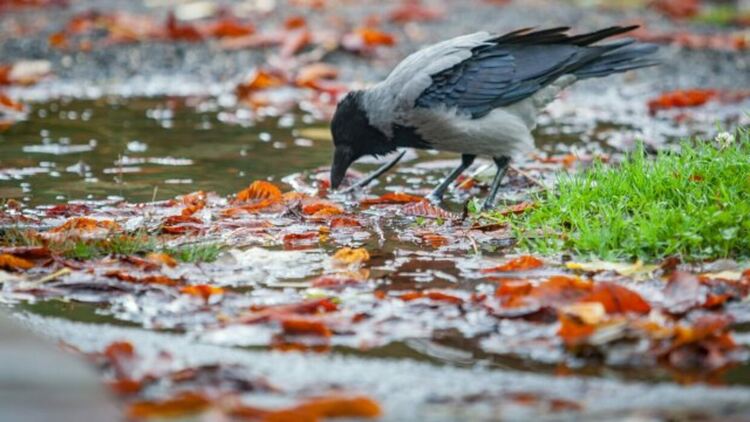 Необичайно топло за януари